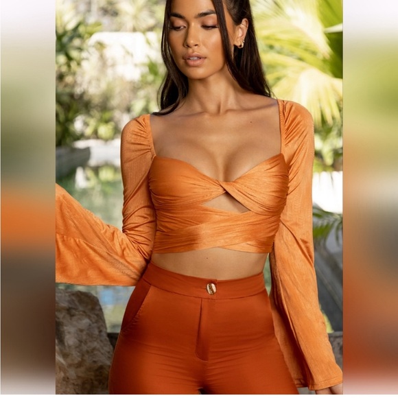 Oh Polly Long Sleeve Crop Top - Picture 1 of 4